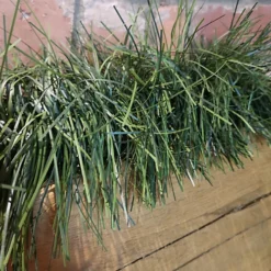 2.7m (9ft) X 20cm Christmas Premier Green Tinsel Garland With 6 Red Velvet Bows -Deals Christmas Decor Store 2 7m 9ft x 20cm christmas premier green tinsel garland with 6 red velvet bows5056589186593 04c MP