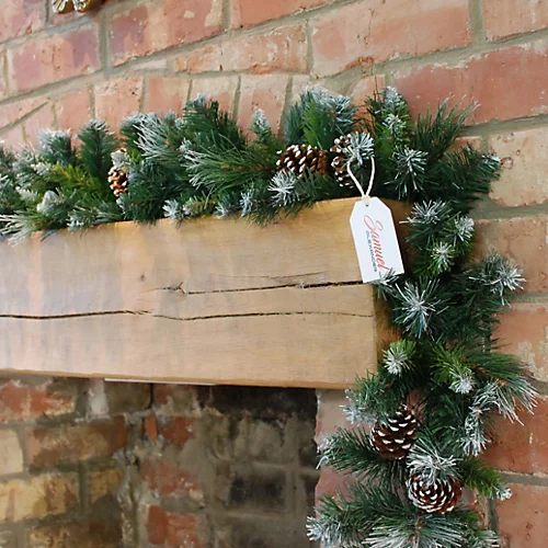 270cm X 25cm Samuel Alexander Frosted Glacier Christmas Garland With Pine Cones 1 270cm X 25cm Samuel Alexander Frosted Glacier Christmas Garland With Pine Cones