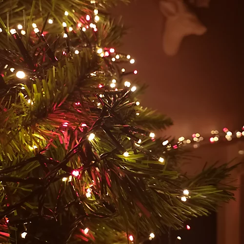 3000 LED 75m Premier TreeBrights Indoor Outdoor Christmas Multi Function Mains Operated String Lights Timer Red & Vintage Gold 2 3000 LED 75m Premier TreeBrights Indoor Outdoor Christmas Multi Function Mains Operated String Lights Timer Red & Vintage Gold - Image 2