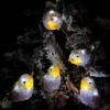 5 Acrylic Indoor Outdoor Robin Christmas Lights With 30 Ice White LEDs