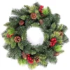 55cm Various Tips Green Christmas Wreath Frosted Tips