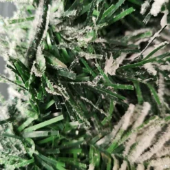 60cm Premier Green Snow And Glitter Flocked Christmas Door Wall Wreath -Deals Christmas Decor Store 60cm premier green snow and glitter flocked christmas door wall wreath5056589195397 04c MP