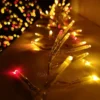 960 LED 12m Premier Cluster Indoor Outdoor Multi Function Mains Operated Christmas Lights With Timer On Clear Cable In Red & Gold