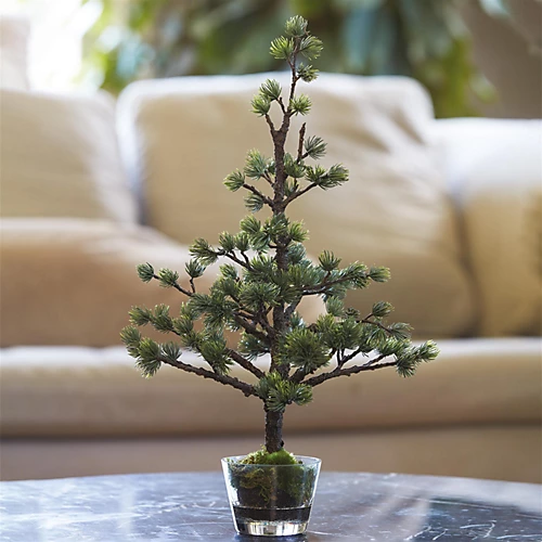 Bloom Artificial Bonsai Christmas Tree In Pot - Faux Fake Japanese Oriental Style Indoor Houseplant Home Decoration - H40cm 2 Bloom Artificial Bonsai Christmas Tree In Pot - Faux Fake Japanese Oriental Style Indoor Houseplant Home Decoration - H40cm - Image 2