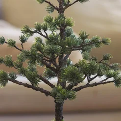 Bloom Artificial Bonsai Christmas Tree In Pot - Faux Fake Japanese Oriental Style Indoor Houseplant Home Decoration - H40cm 5 Bloom Artificial Bonsai Christmas Tree In Pot - Faux Fake Japanese Oriental Style Indoor Houseplant Home Decoration - H40cm -Deals Christmas Decor Store bloom artificial bonsai christmas tree in pot faux fake japanese oriental style indoor houseplant home decoration h40cm5053335795184 03c MP