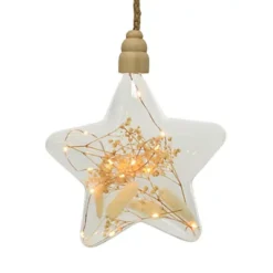 Clear Star Pampas Christmas LED Rope Light