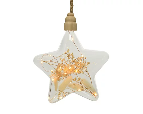 Clear Star Pampas Christmas LED Rope Light 1 Clear Star Pampas Christmas LED Rope Light