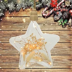 Clear Star Pampas Christmas LED Rope Light 7 Clear Star Pampas Christmas LED Rope Light -Deals Christmas Decor Store clear star pampas christmas led rope light8720194937181 04c MP